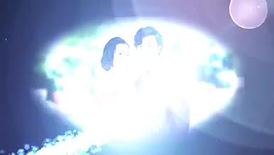 粒子灯光婚礼婚庆电子相册视频的预览图